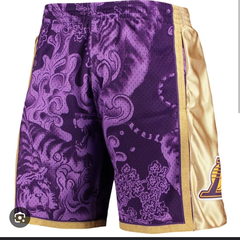 Mens Los Angeles Lakers Mitchell & Ness Purple Harwood Classic Size M